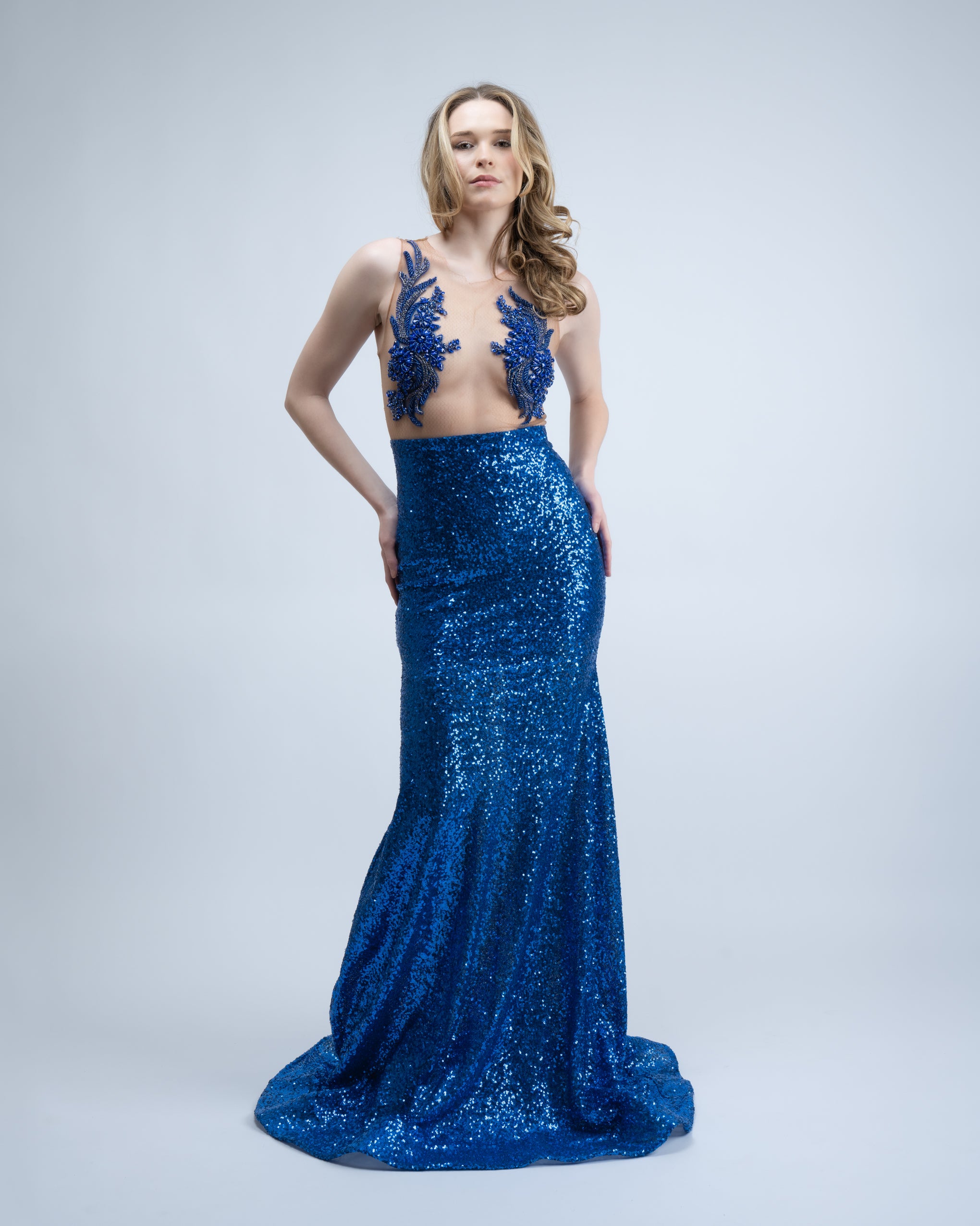 Blue Sequins Applique Gown